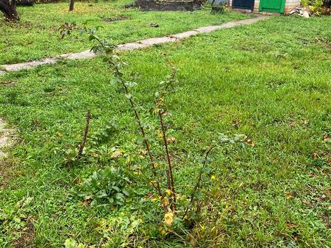 дом по адресу Продольна, 78