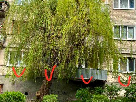 комната по адресу Академика Колессы ул. (Учительская), 17