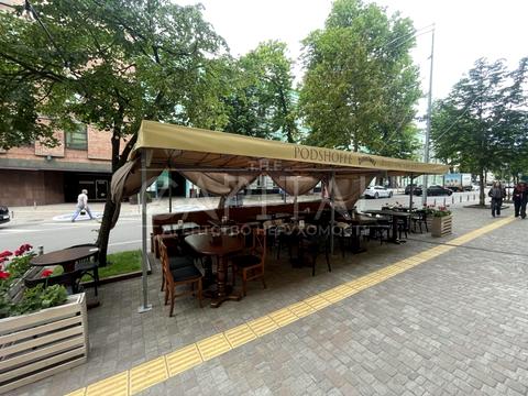 комерційна за адресою Євгена Чикаленка вул. (Пушкінська), 45