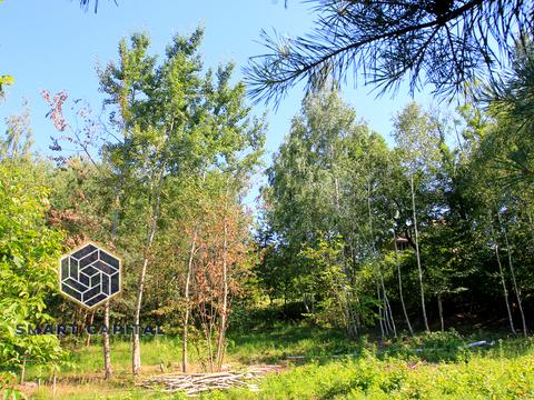 ділянка за адресою Івана Франка вул. (Некрасова)