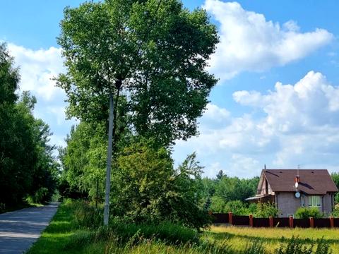 ділянка за адресою Соснова