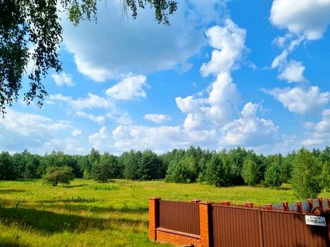 ділянка за адресою Соснова