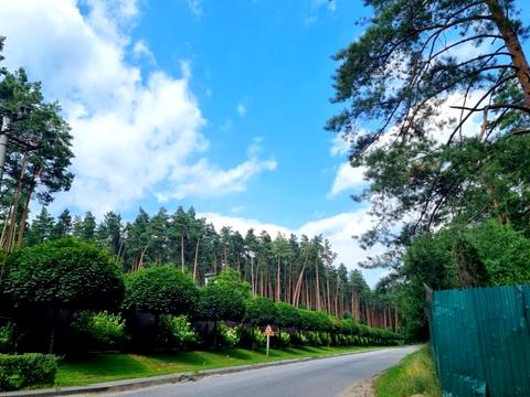 ділянка за адресою Васильківська