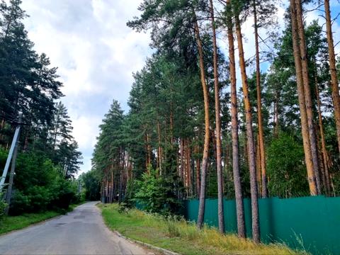 ділянка за адресою Васильківська