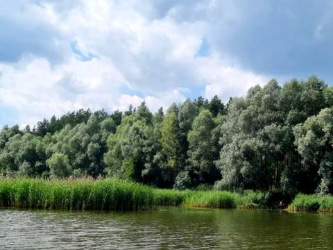 ділянка за адресою Васильківська