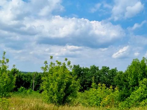 ділянка за адресою Васильківська