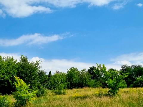 ділянка за адресою Васильківська
