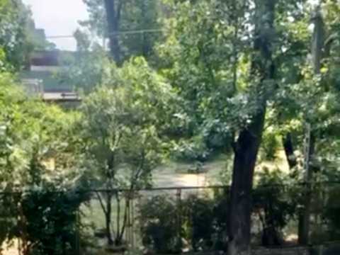 квартира за адресою Пастера вул., 12