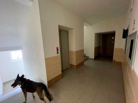 квартира за адресою Бастіонна вул., 7