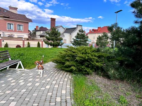 дом по адресу Владимирская