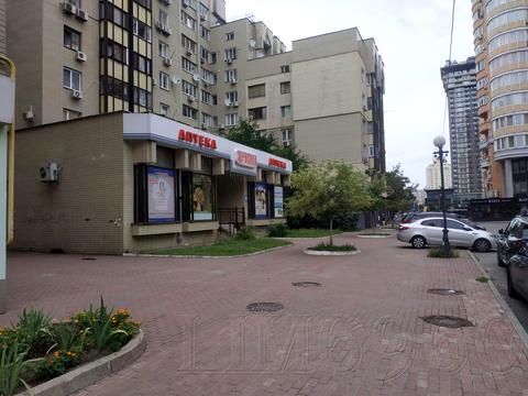 комерційна за адресою Левка Лук'яненка вул. (Маршала Тимошенка), 19