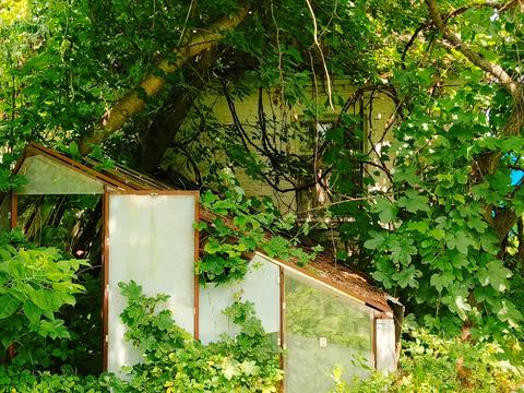 дом по адресу Октябрьская ул. (Жовтнева), 55