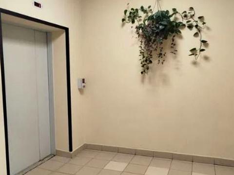 квартира по адресу Люстдорфская дорога ул., 14