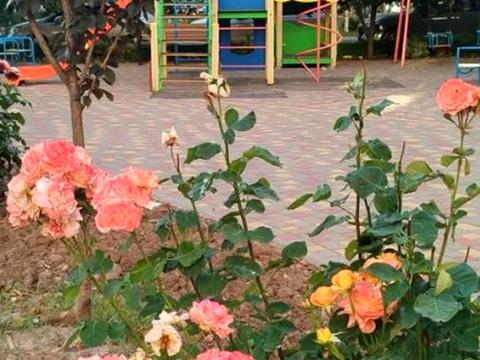 квартира по адресу Люстдорфская дорога ул., 14