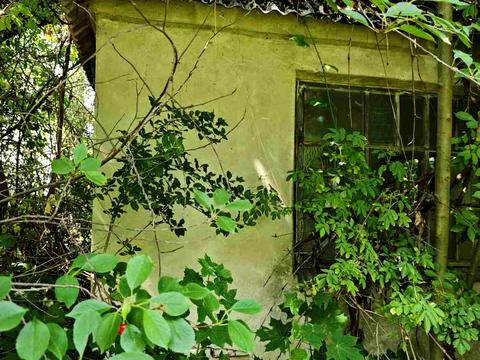участок по адресу Личаківська вул. (238)