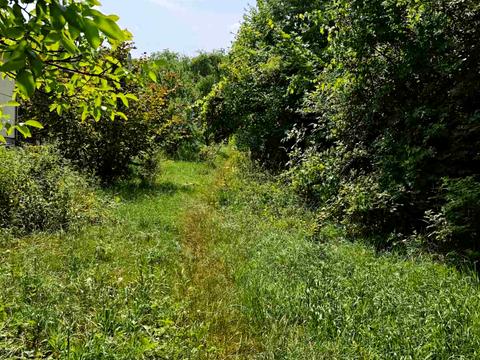 участок по адресу Личаківська вул. (238)