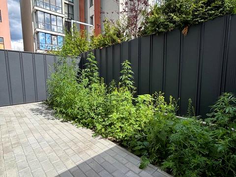 будинок за адресою Центральна вул. (Чапаєва), 37
