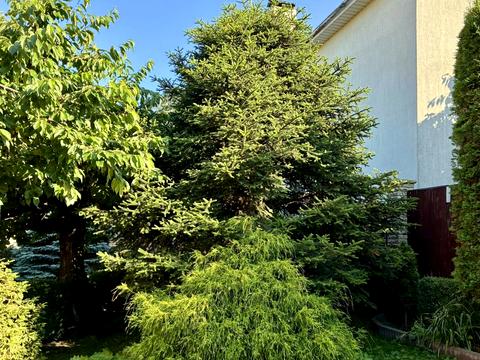 дом по адресу Добрий Шлях ул., 64