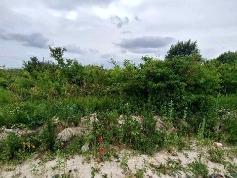 ділянка за адресою Городок,