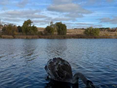 будинок за адресою Озерна, 17