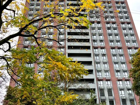 квартира за адресою Олени Теліги вул., 25