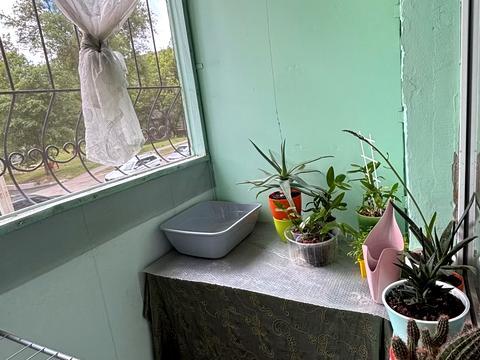 квартира за адресою 23 Серпня пров., 1