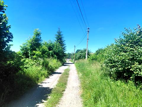участок по адресу Лісова