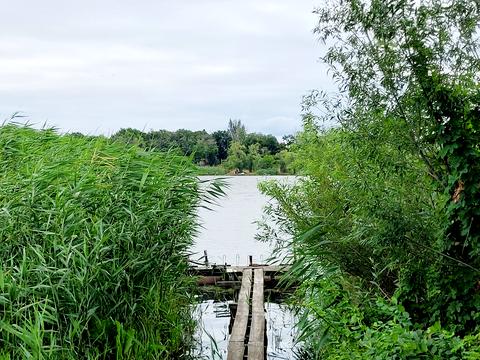 дом по адресу Вишнёвая ул. (Ильича), 28