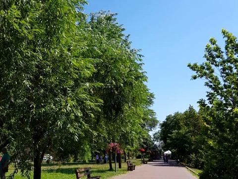 квартира по адресу Березняковская ул., 29-А