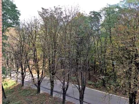 квартира по адресу Calle Dilova ул. (Димитрова), 2-Б