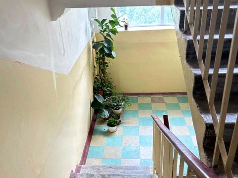 квартира по адресу Червоний камінь ул., 9
