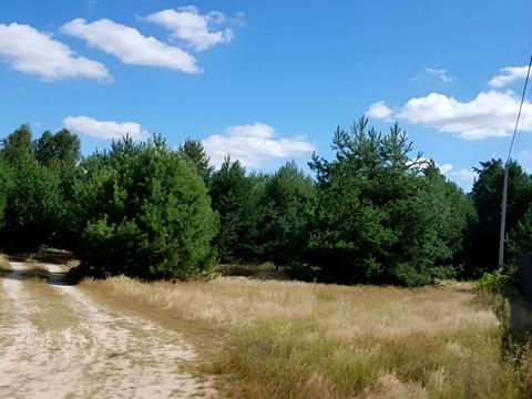ділянка за адресою с. Перевіз, Миру 1