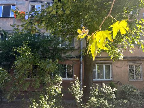 кімната за адресою Люстдорфська дорога вул. (Черноморская дорога), 27б
