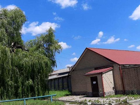 комерційна за адресою Біологічна вул., 7
