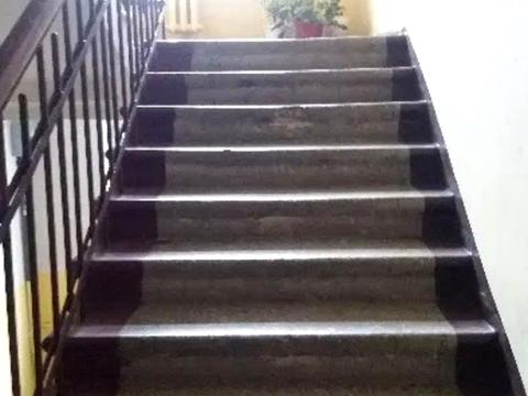 квартира по адресу Василя Чумака ул., 13