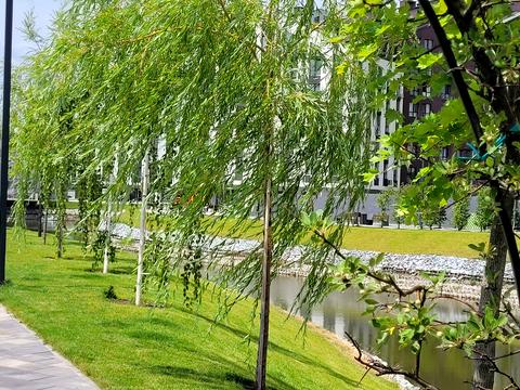 коммерческая по адресу Панорамна ул., 2