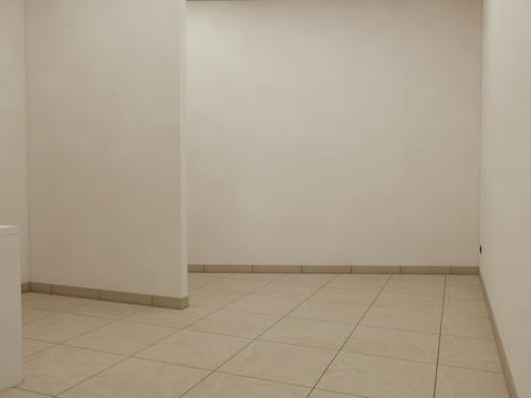 комерційна за адресою Одеса, Краснова вул., (66 перлина)