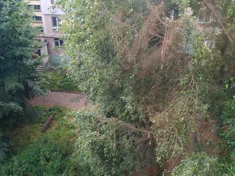 квартира по адресу Циолковского ул., 278