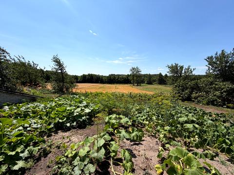 будинок за адресою Привітна, 1