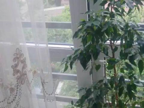 квартира по адресу Казацкая ул., 55-А