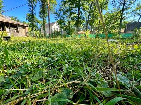 участок по адресу Европейская ул. (Советская)