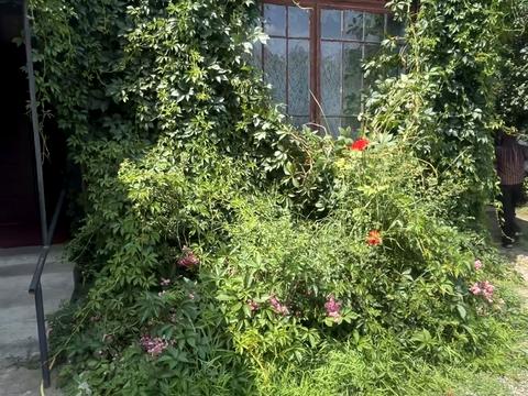 квартира за адресою Миру вул., 42