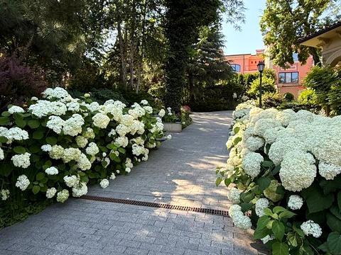 дом по адресу Золотой берег ул.