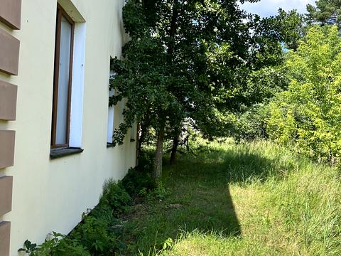будинок за адресою Лісна