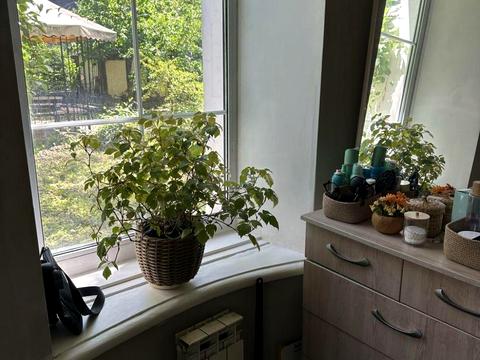дом по адресу Патріотів ул.