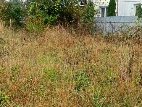 ділянка за адресою Хмельницький, Маняка В. вул.