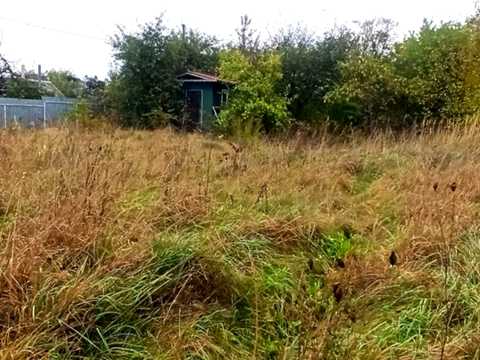 ділянка за адресою Хмельницький, Маняка В. вул.