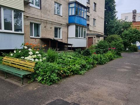 квартира за адресою Олександри Бурбело вул. (Писарєва), 4
