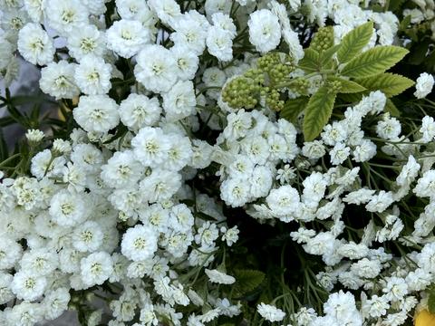 будинок за адресою Київська, 22