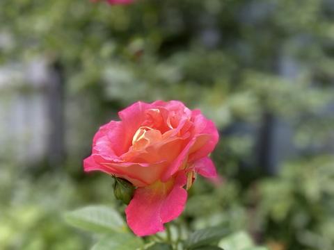 будинок за адресою Київська, 22